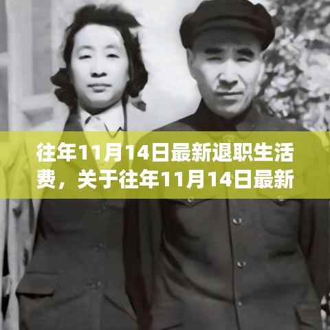 往年11月14日退职生活费调整解读与展望,最新政策分析与生活费趋势展望