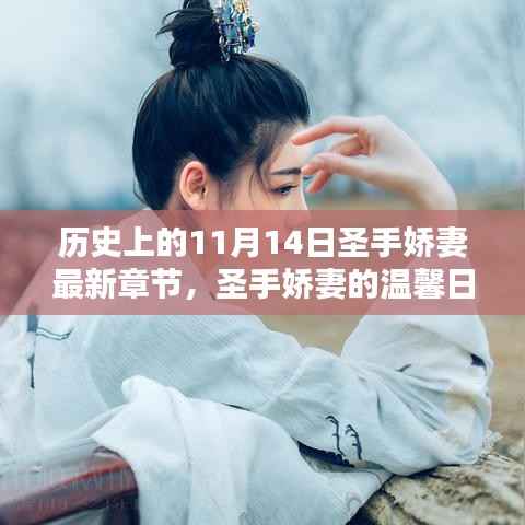 十一月十四日,圣手娇妻的温馨日常与轻喜剧章节