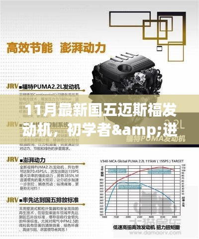 初学者与进阶用户适用的11月最新国五迈斯福发动机操作指南