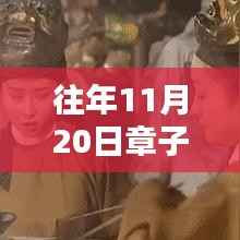 章子怡电影之夜,光影间的温馨之夜