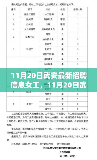 11月20日武安最新女工招聘信息,机遇与挑战并存