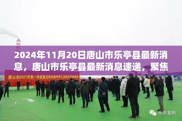 聚焦唐山市乐亭县发展动态,最新消息速递(2024年11月20日版)