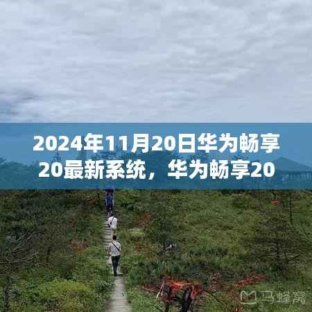 华为畅享20最新系统,科技之巅的极致体验(2024年11月20日)