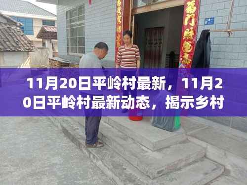 11月20日平岭村最新，11月20日平岭村最新动态，揭示乡村发展的时代脉搏