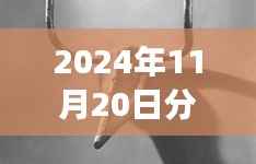 2024年11月20日分钟寺改造最新消息,分钟寺改造最新进展,2024年11月20日的蜕变与影响