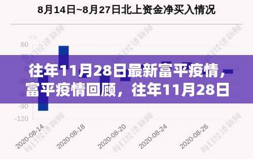 往年11月28日富平疫情回顾,挑战与影响概览