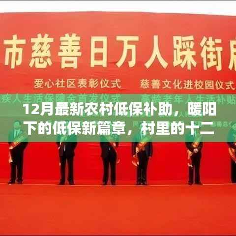 农村低保补助新篇章,暖阳下的十二月温情纪事