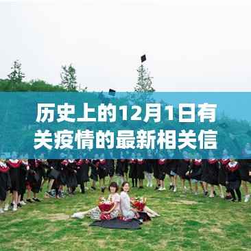 疫情下的静谧之旅，探寻自然美景与内心力量，历史上的疫情最新信息回顾