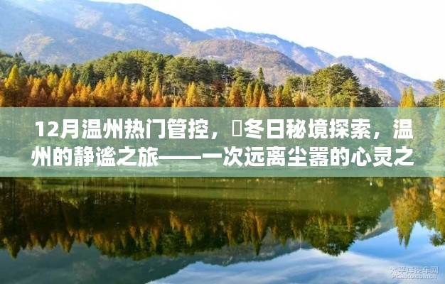 温州冬季秘境探索,静谧之旅的心灵之旅,12月热门管控下的冬日秘境体验