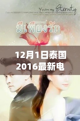 泰国电视剧冬日暖阳下的温馨日常温馨故事开启新篇章