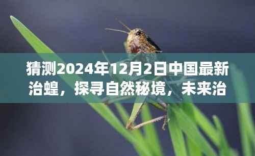 中国未来治蝗之旅,探寻自然秘境,启程心灵净土之旅(最新预测至2024年)