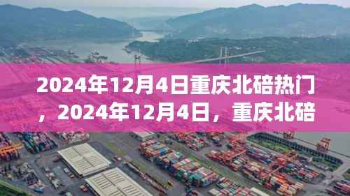 2024年12月4日重庆北碚之旅,探寻自然美景,重拾心灵宁静