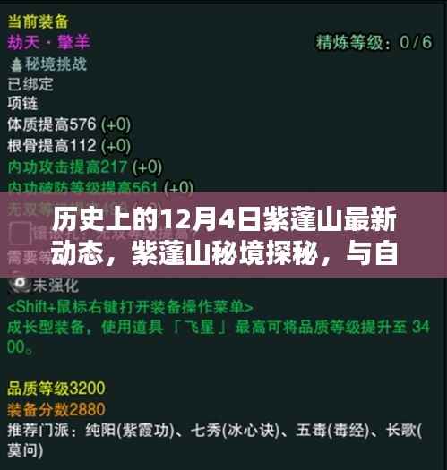 紫蓬山探秘,历史动态与自然宁静的交融之旅(12月4日最新资讯)