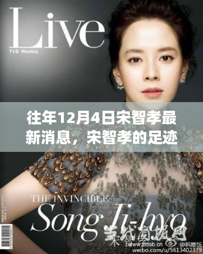 探寻自然美景之旅,宋智孝足迹下的内心宁静与平和