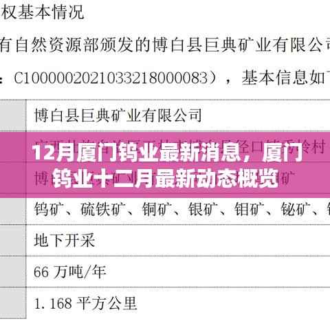 厦门钨业十二月最新动态概览,最新消息概览