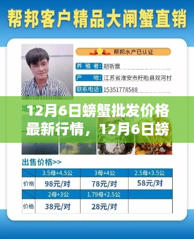 12月6日螃蟹批发价格最新行情,12月6日螃蟹批发价格最新行情详解,入门指南与关键步骤