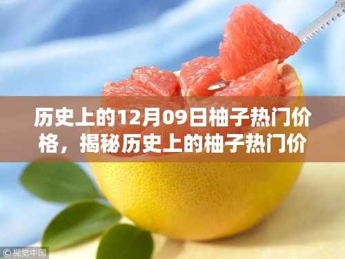揭秘柚子历史价格,柚子价格查询全攻略(适合初学者与进阶用户)