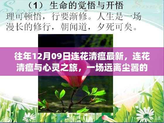 shibigongqing 第5页