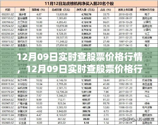12月09日股市行情实时解析,洞悉价格动态,把握投资先机