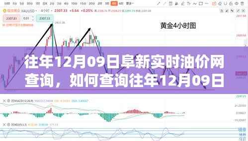 往年12月09日阜新实时油价网查询攻略，初学者与进阶用户指南