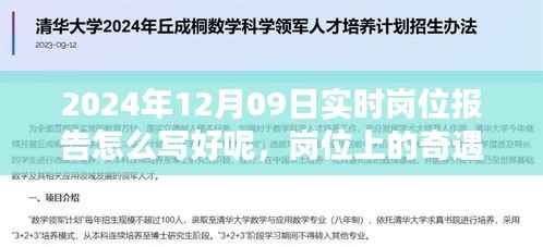 2024年12月09日岗位奇遇与温馨日常实时报告