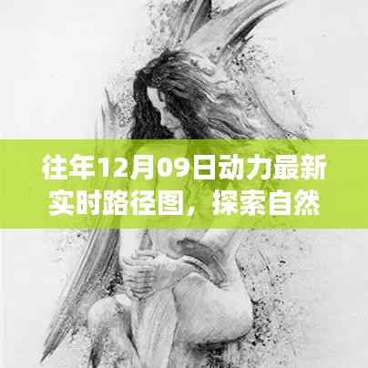 往年12月09日动力路径图,自然美景探索之旅的宁静与和谐体验
