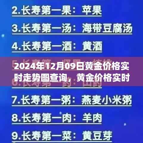 黄金市场脉动解读,2024年黄金价格实时走势图查询