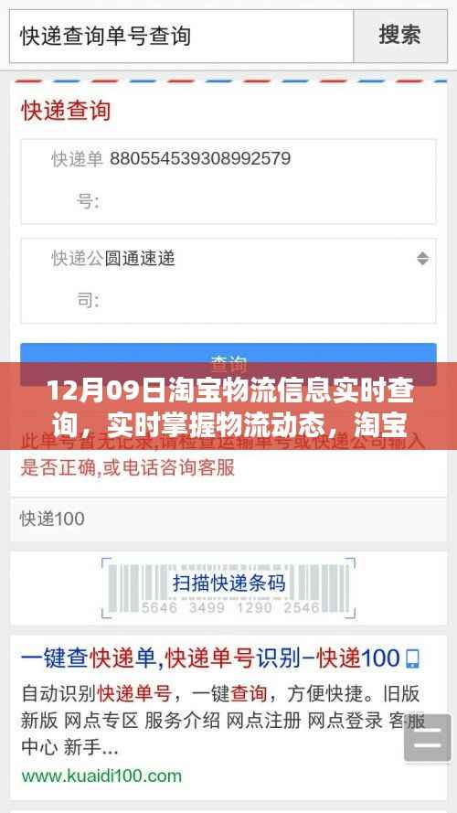 12月09日淘宝物流实时查询指南,轻松掌握包裹动态