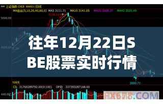 探秘隐藏版特色小店,SBE股票实时行情与独特环境之旅
