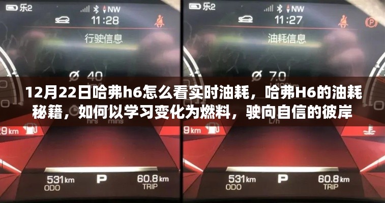 哈弗H6实时油耗秘籍,学习变化为燃料,驶向自信彼岸的指南
