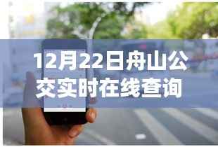 12月22日舟山公交实时在线查询指南,初学者与进阶用户适用