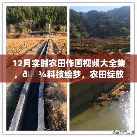 12月实时农田作画视频惊艳呈现,科技绘梦,农田绽放新篇章!