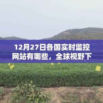 全球视野下的网站实时监控,各国实践、影响分析与实时监控系统概览