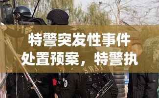 特警突发性事件处置预案,特警执勤突发事件视频