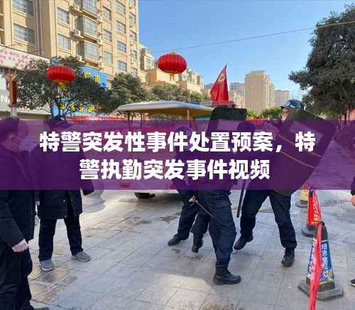 特警突发性事件处置预案,特警执勤突发事件视频