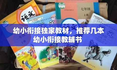 幼小衔接独家教材,推荐几本幼小衔接教辅书