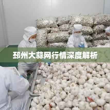 邳州大蒜网行情深度解析