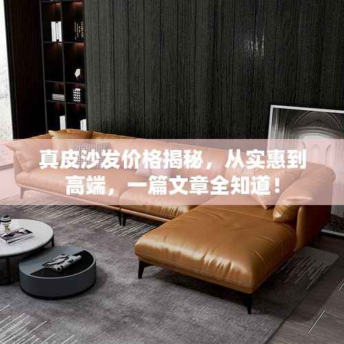 真皮沙发价格揭秘,从实惠到高端,一篇文章全知道!