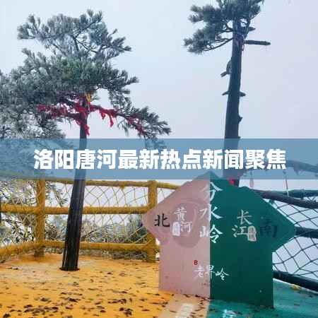 洛阳唐河最新热点新闻聚焦