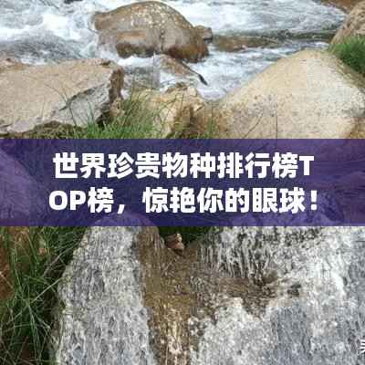 世界珍贵物种排行榜TOP榜,惊艳你的眼球!