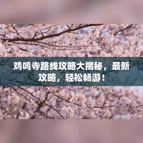 鸡鸣寺路线攻略大揭秘,最新攻略,轻松畅游!