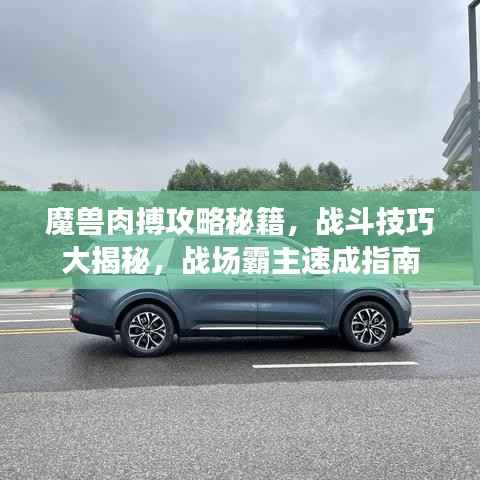 魔兽肉搏攻略秘籍,战斗技巧大揭秘,战场霸主速成指南