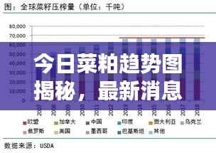 今日菜粕趋势图揭秘,最新消息全面解析与预测