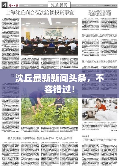 沈丘最新新闻头条,不容错过!