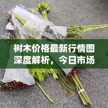 继晷焚膏 第3页