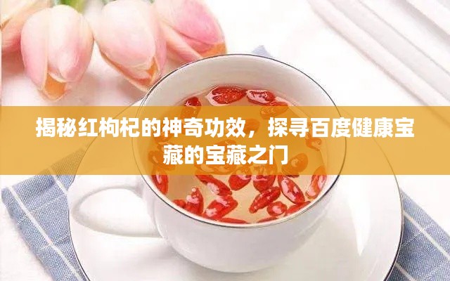 揭秘红枸杞的神奇功效,探寻百度健康宝藏的宝藏之门