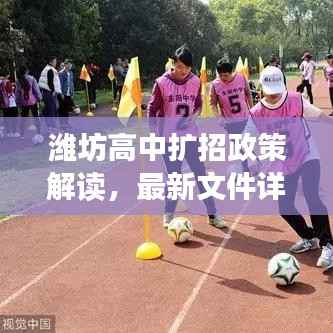 潍坊高中扩招政策解读,最新文件详解扩招细节