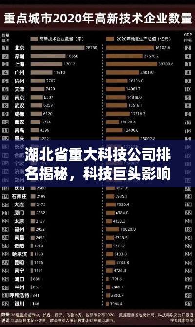 湖北省重大科技公司排名揭秘,科技巨头影响力与实力解析