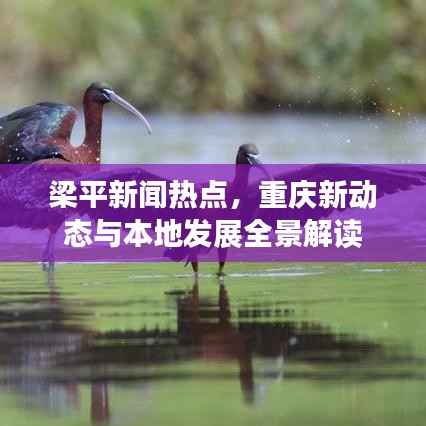 梁平新闻热点,重庆新动态与本地发展全景解读