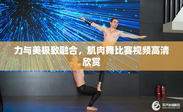 力与美极致融合,肌肉舞比赛视频高清欣赏